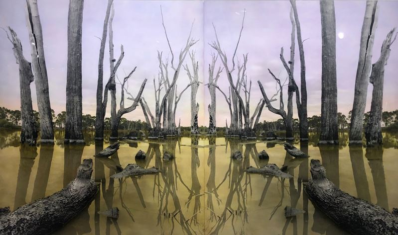 Past Reflections I and II • Adelaide Festival Centre